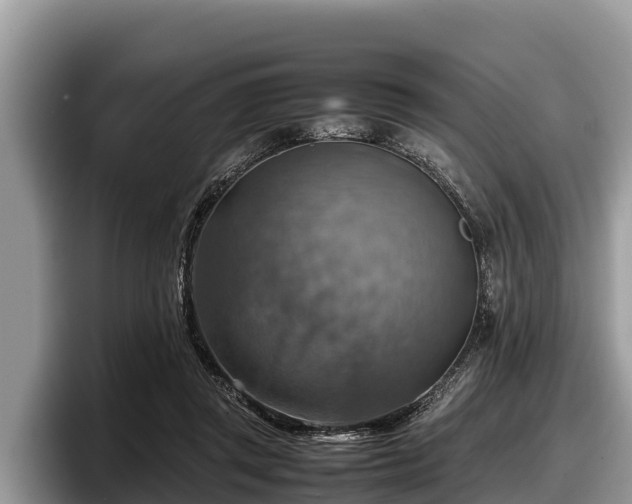 X0000097880357200803211339