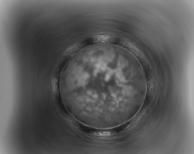 X0000097880361200803211339