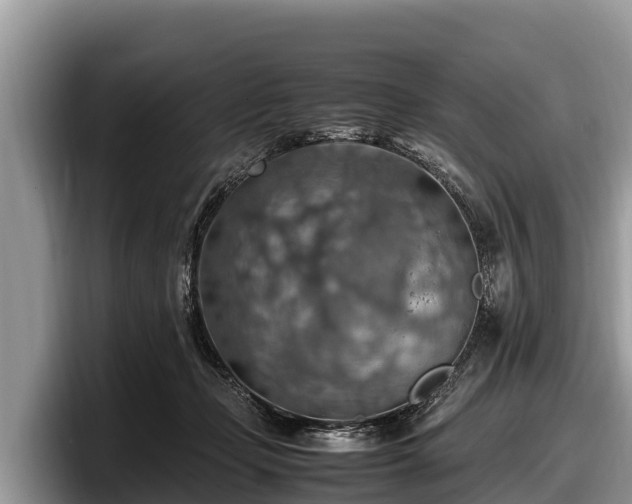 X0000097880365200803211339