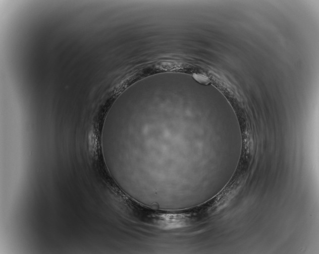 X0000097880371200803211339