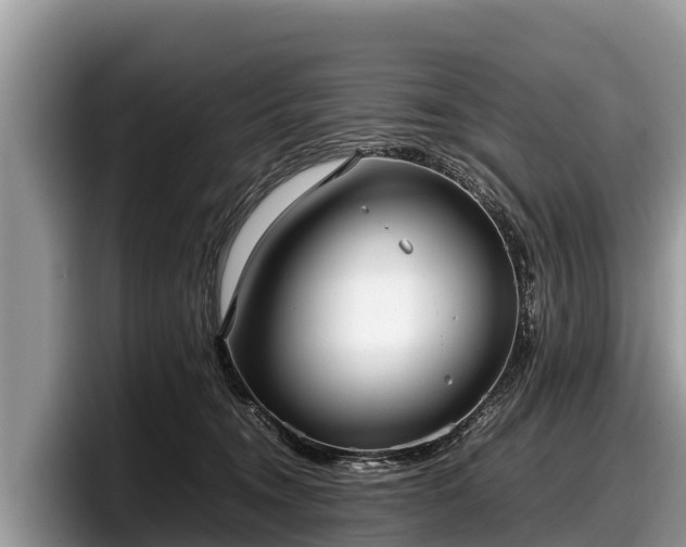 X0000097880372200803211339