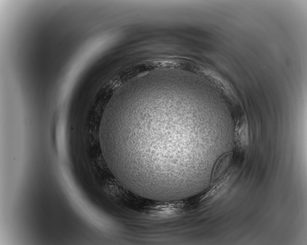 X0000097880381200803211339