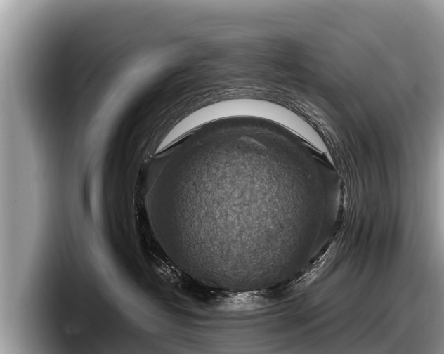 X0000097880382200803211339