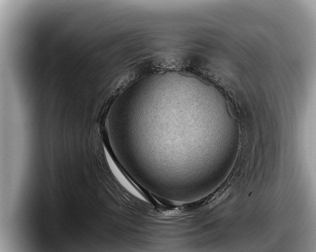 X0000097880384200803211339