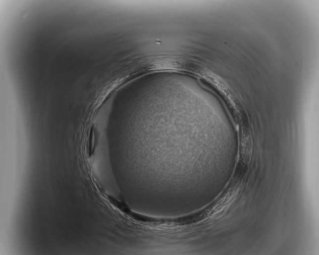 X0000097880385200803211338