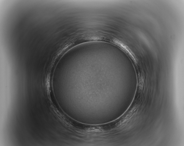 X0000097880386200803211338