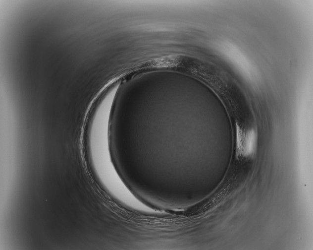 X0000097880387200803211338