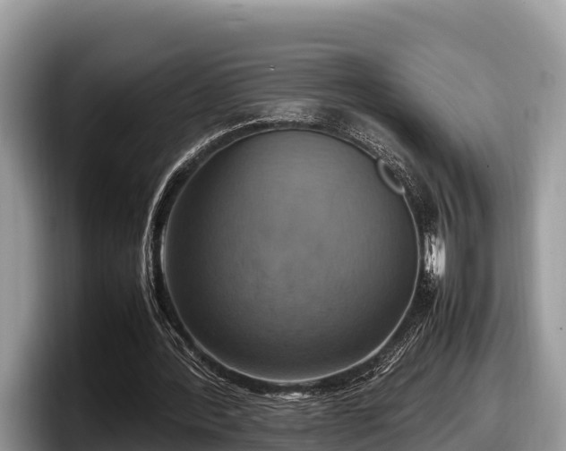 X0000097880388200803211338