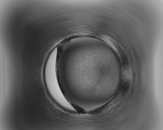 X0000097880389200803211338