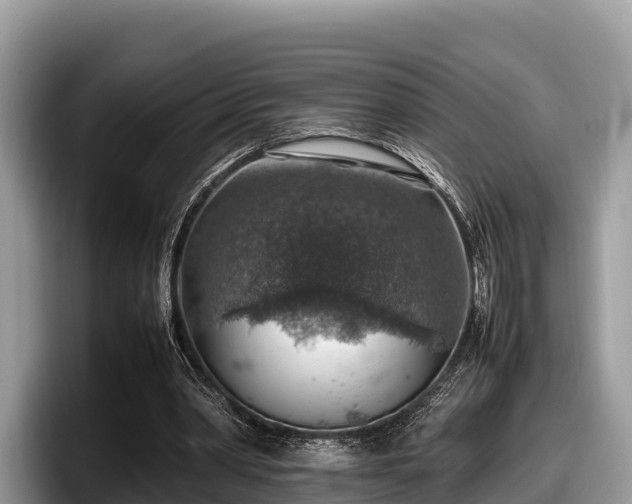 X0000097880390200803211338