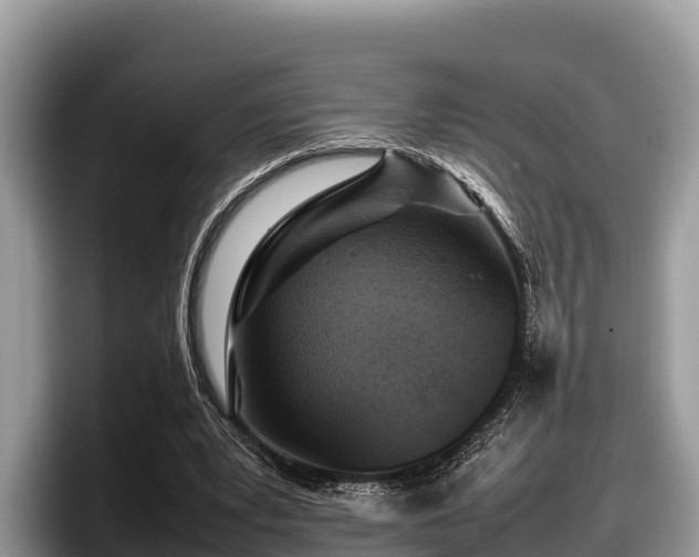 X0000097880391200803211338