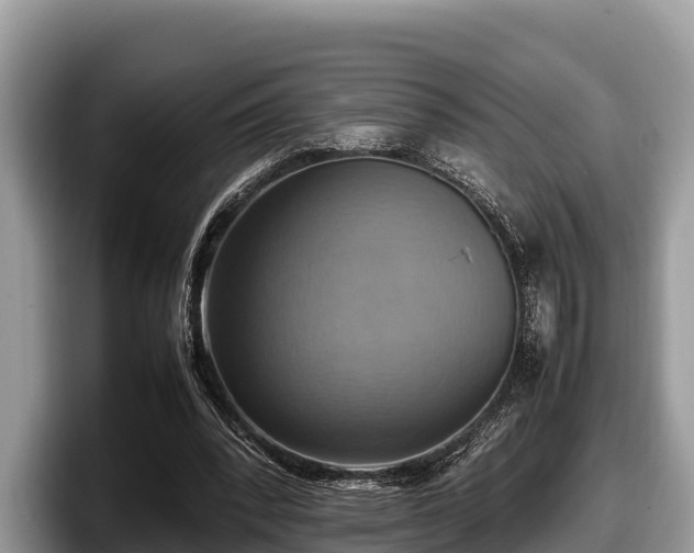 X0000097880392200803211338