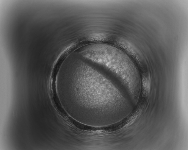 X0000097880396200803211338