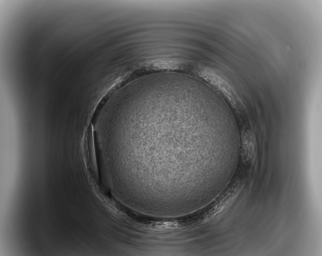 X0000097880398200803211338