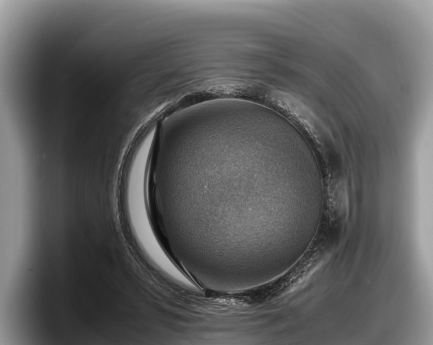X0000097880399200803211338