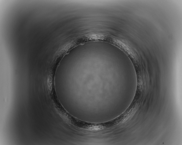 X0000097880402200803211338