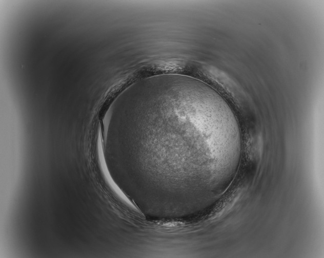 X0000097880407200803211338