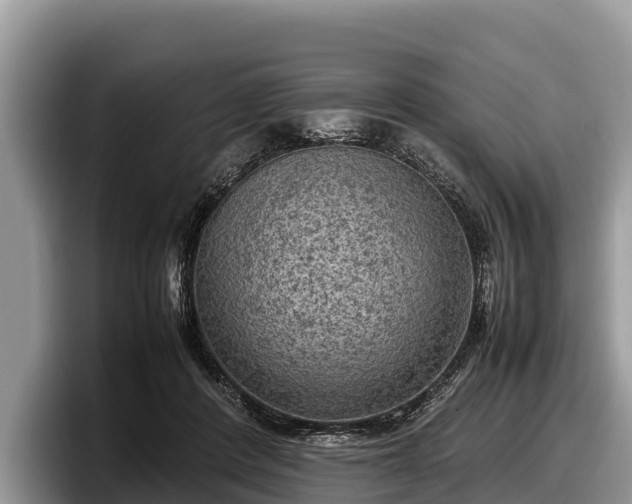 X0000097880408200803211338