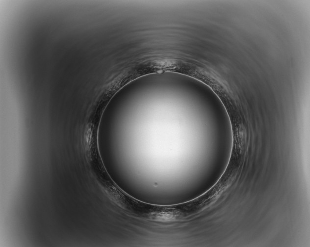 X0000097880412200803211338