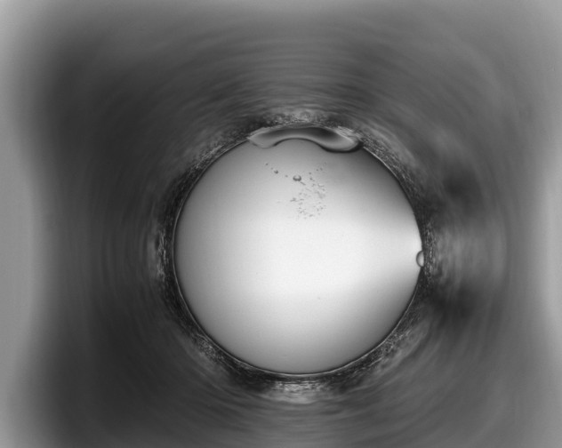 X0000097880414200803211338