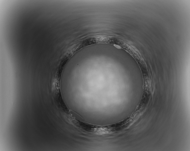 X0000097880419200803211338