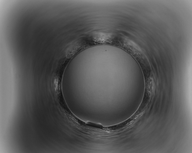 X0000097880420200803211338