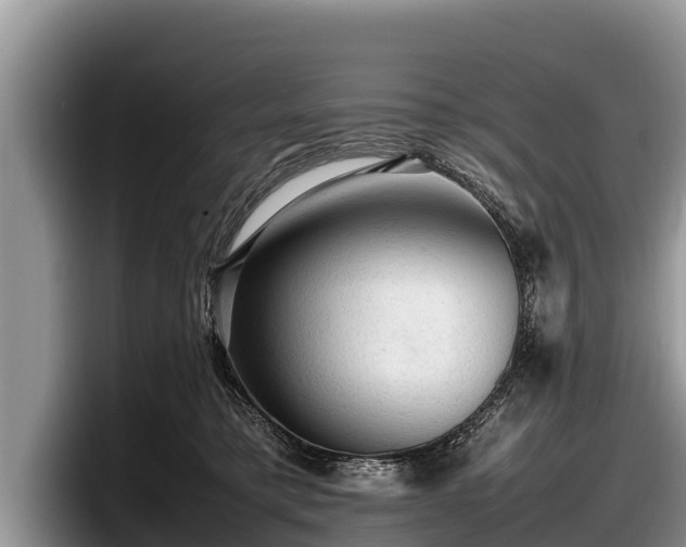 X0000097880421200803211338