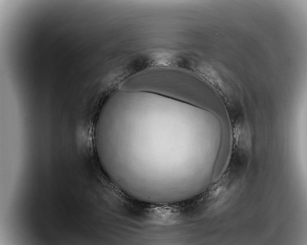 X0000097880423200803211338