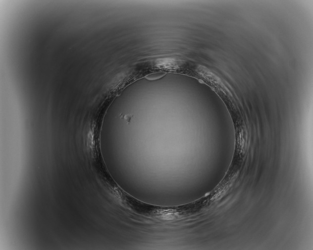 X0000097880424200803211338