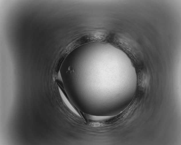 X0000097880425200803211338