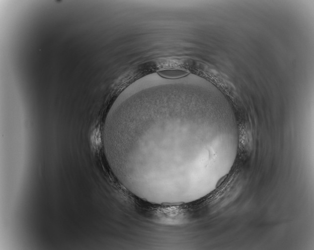 X0000097880431200803211338