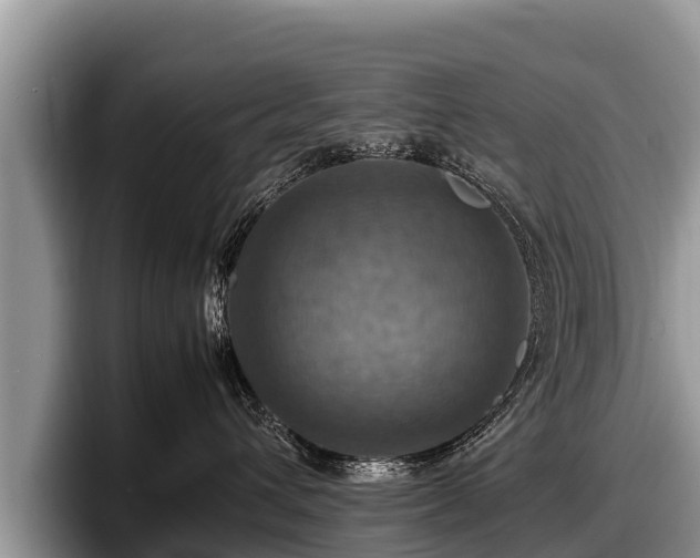 X0000097880432200803211338