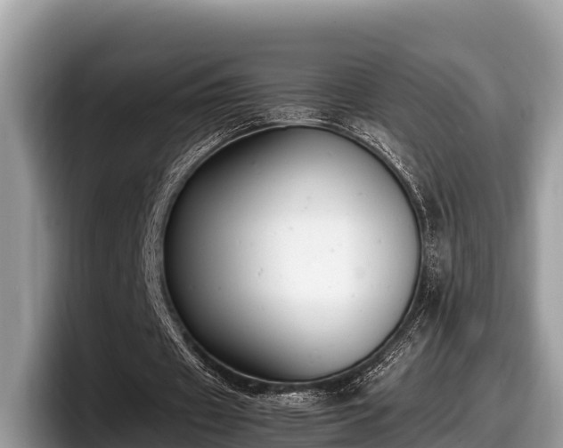 X0000097880433200803211337