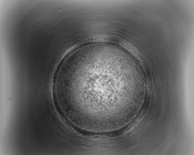 X0000097880434200803211337
