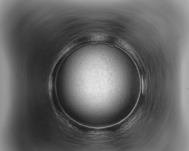 X0000097880435200803211337