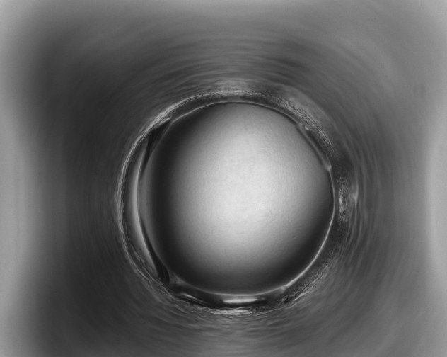 X0000097880436200803211337