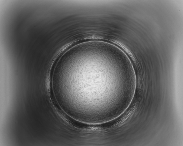 X0000097880437200803211337