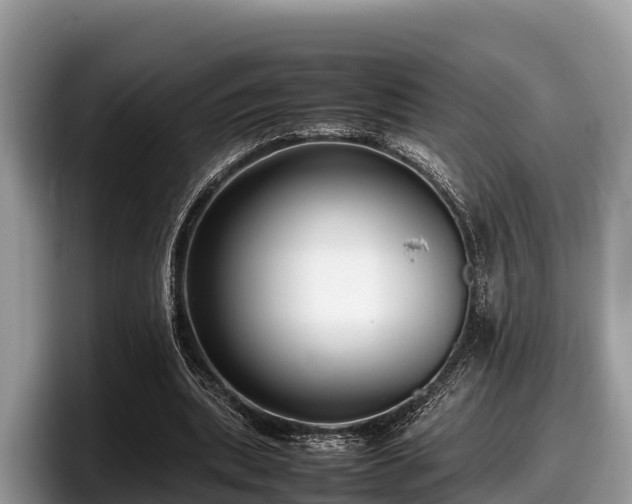 X0000097880439200803211337