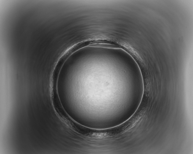 X0000097880440200803211337