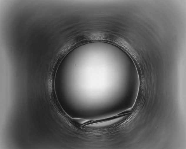 X0000097880441200803211337