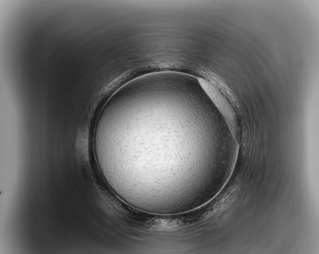 X0000097880442200803211337
