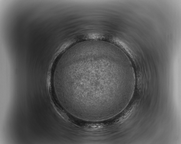 X0000097880443200803211337