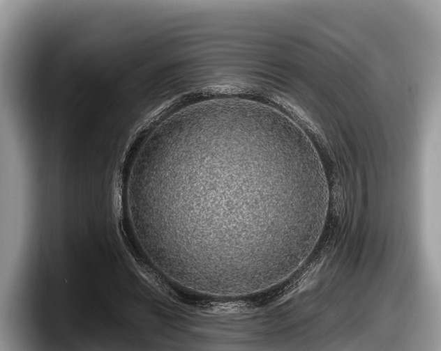 X0000097880446200803211337