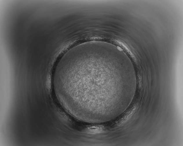 X0000097880447200803211337