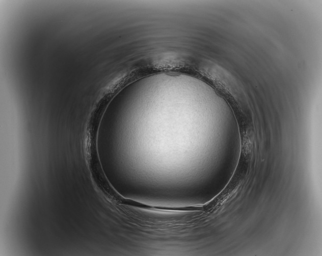 X0000097880448200803211337