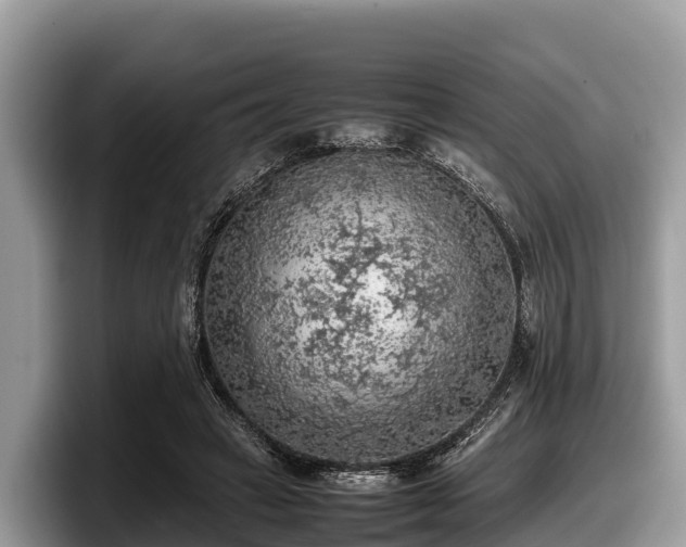 X0000097880449200803211337