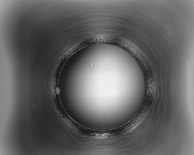 X0000097880450200803211337