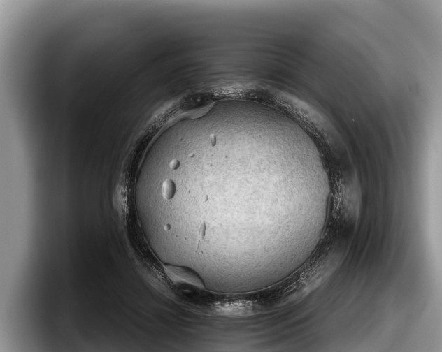 X0000097880452200803211337