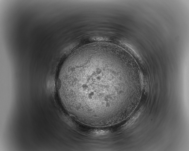 X0000097880453200803211337