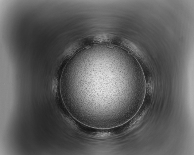 X0000097880458200803211337